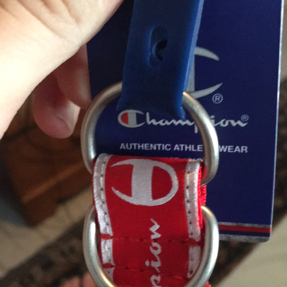 Champion belt